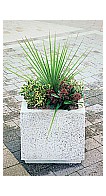 Classic Square Concrete Planter