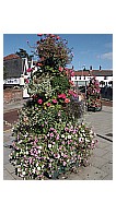 Tiered Planter in Bloom