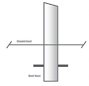 Stainless Steel Bollard - Root Fixed